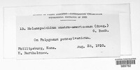 Image Associated With the Occurence